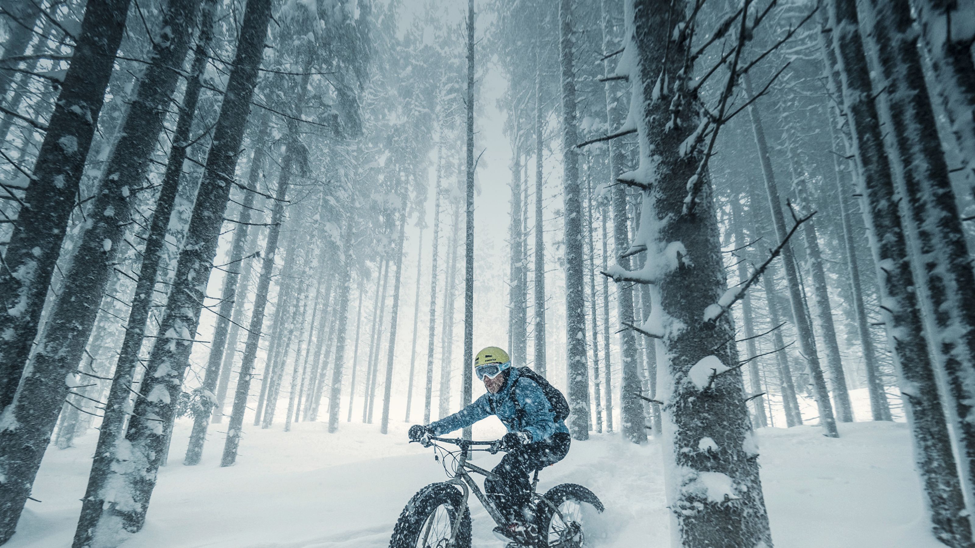 Carte cycliste suisse deals